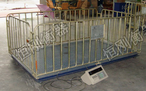 稱動(dòng)物電子稱