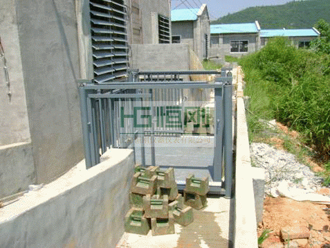 稱豬電子地磅
